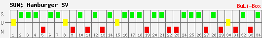 Siege, Unentschieden und Niederlagen: Hamburger SV 2008/2009