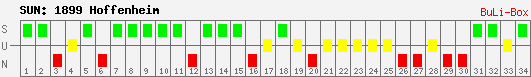 Siege, Unentschieden und Niederlagen: 1899 Hoffenheim 2008/2009