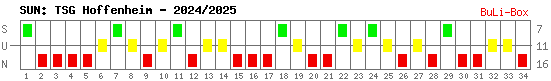 Siege, Unentschieden und Niederlagen: TSG 1899 Hoffenheim 2024/2025